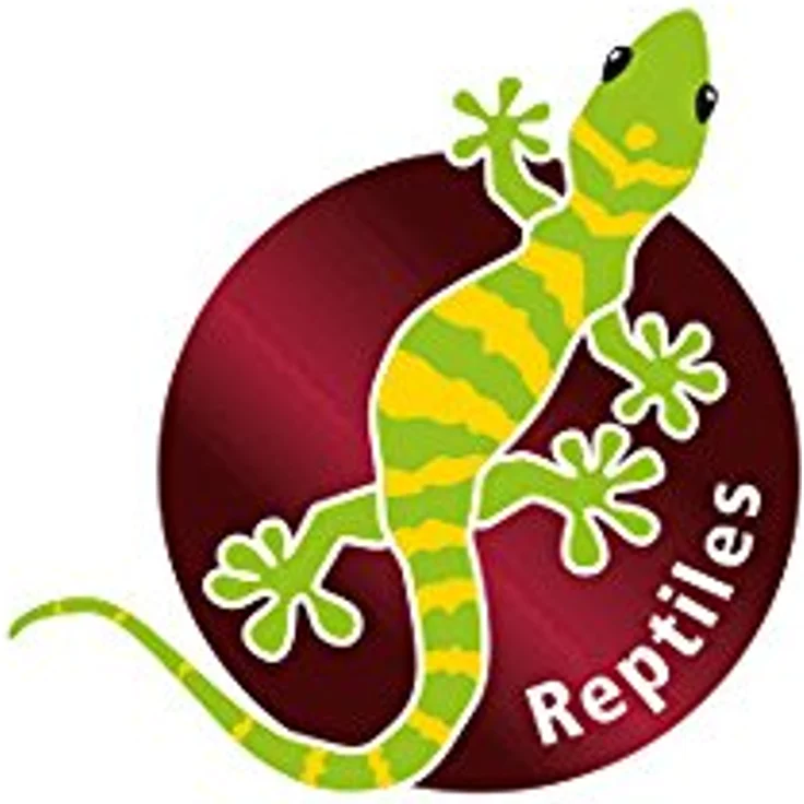 HOBBY TerraPond, große Trink- und Badeschale für Reptilien, 36x6x26 cm, natürliche Optik mit Sicherheitsstufen – Bild 3