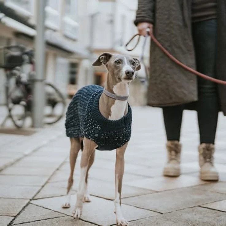 Hunter Hunde-Pullover Finja dunkelblau 35 cm – Bild 10