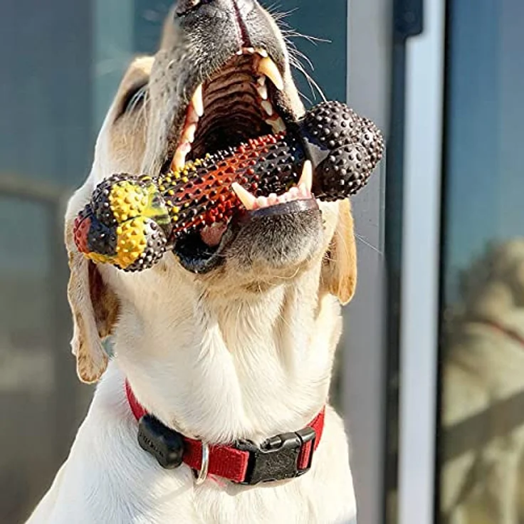 Nylabone Strong Chew - Bacon Cheeseburger M, Texturierter Kauknochen aus Naturkautschuk zur Zahnsteinentfernung für Hunde – Bild 2