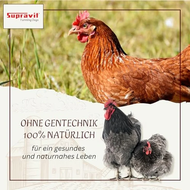 Supravit Legemehl für Hühner 25kg, GVO-frei, für stabile Eierschalen und hohe Legeleistung, mehrfach gereinigtes Legekorn – Bild 3
