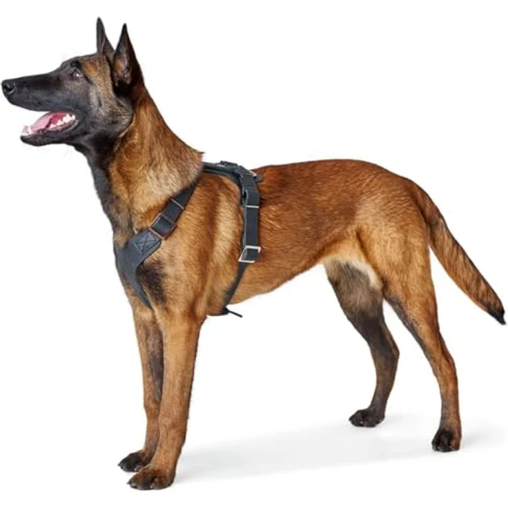 Hunter Hunde-Geschirr Aalborg schwarz S-M 1 – Bild 4