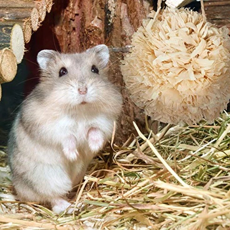 Relaxdays Hamster Zubehör Set 5 TLG., Naturmaterialien mit Grasröhre und 4 Bällen für Nager und Mäuse – Bild 5