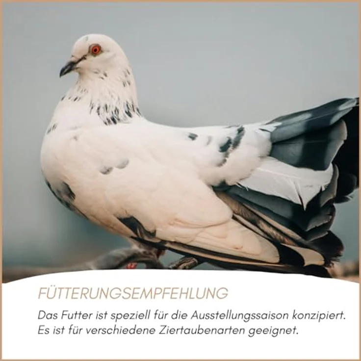 Supravit Ziertaubenfutter Show, hochwertige Mischung für Tauben, 25kg Sack mit schmackhafter Hirse und wertvollen Zutaten – Bild 5