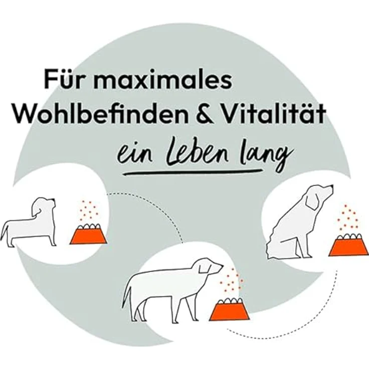 GRAU HOKAMIX 30 Snack Maxi, Futterergänzung für mittelgroße bis große Hunde, mit Hühnerfrischfleisch, 400 g – Bild 6