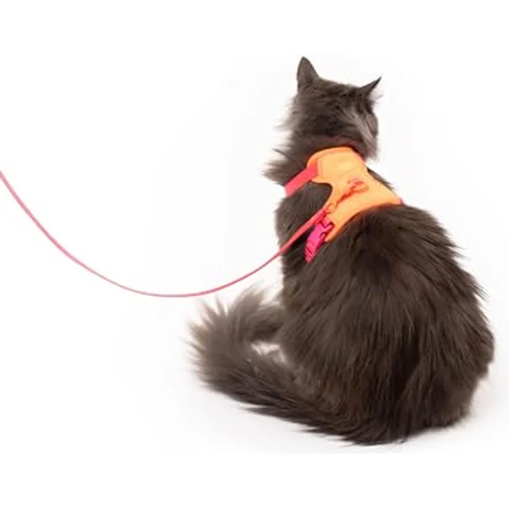 LucyBalu® Explorer Katzengeschirr mit Leine, ausbruchsicheres Brustgeschirr mit AirTag Fach, verstellbar und atmungsaktiv, Berry Orange M/L – Bild 2