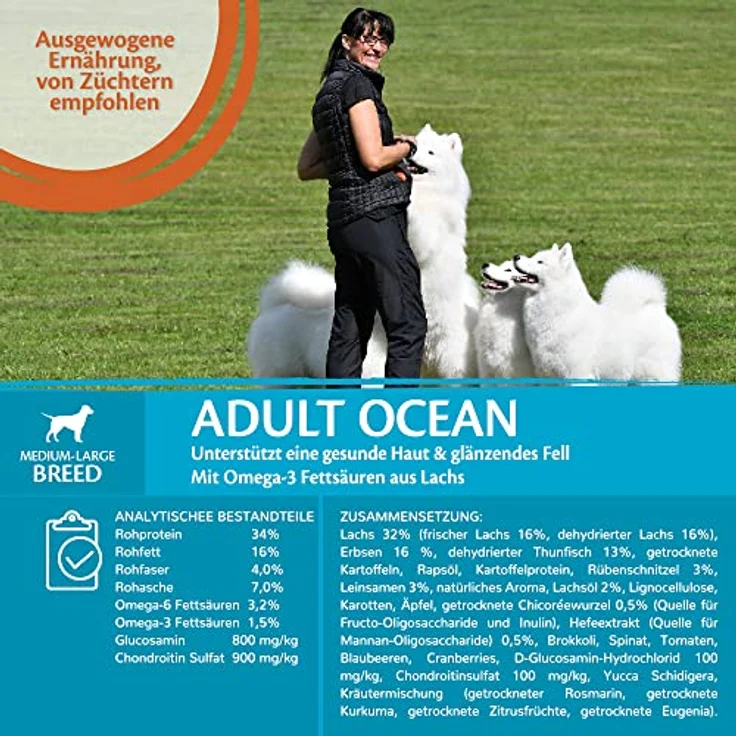 Wellness CORE Ocean, Trockenfutter für Hunde mit Lachs & Thunfisch, 10 kg, getreidefrei, ohne Zuckerzusatz, glänzendes Fell, hoher Fleischanteil – Bild 3