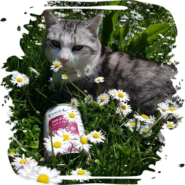 Venandi Premium Nassfutter für Katzen - Ente & Huhn, 6 x 400g (getreidefrei, extra viel Fleisch) – Bild 4