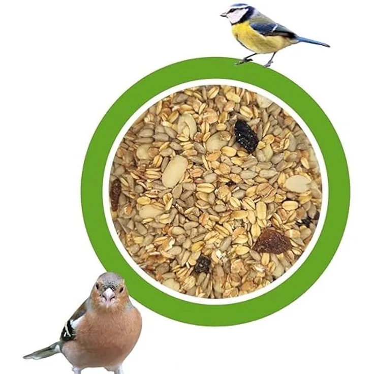 KLASEBO 20 kg Premium Wildvogelfutter, schalenloses Streufutter für Meisen, Spatzen & Finken, energiereiches Fettfutter, hygienisch und sauber
