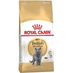 ROYAL CANIN British Shorthair Katzen-Trockenfutter, 2 x 4kg Sparpackung mit Geflügelmehl und Reis