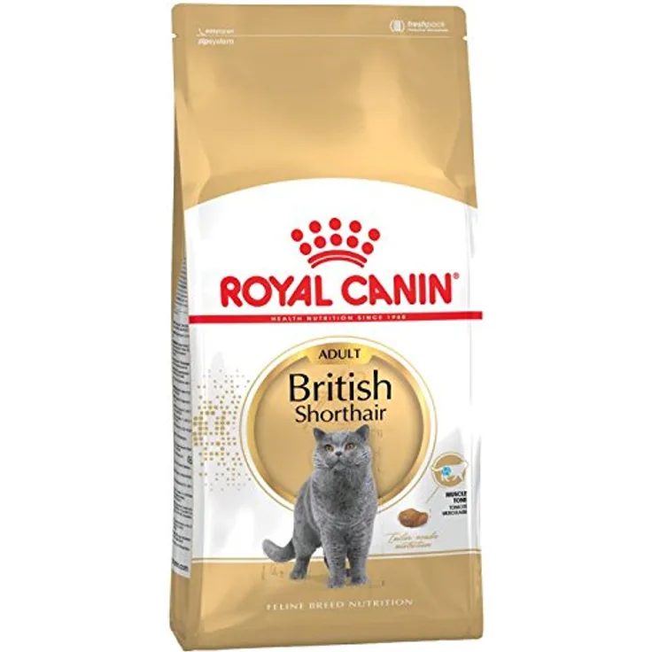 ROYAL CANIN British Shorthair Katzen-Trockenfutter, 2 x 4kg Sparpackung mit Geflügelmehl und Reis