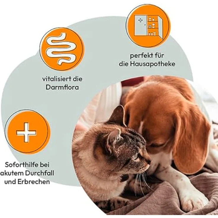 Grau Sanofor, Ergänzungsfuttermittel für Hundegesundheit, 1kg, grau – Bild 2