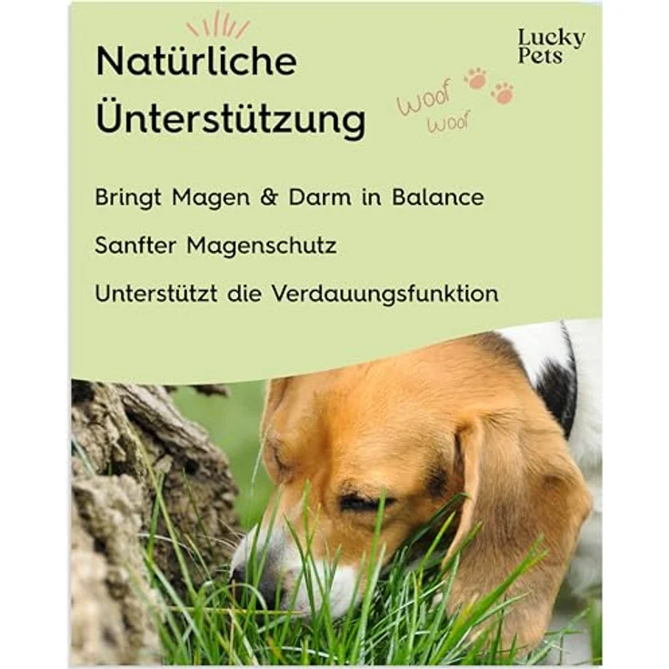 Lucky Pets Premium Magenpulver 275g, Ulmenrinde für Hunde, Made in Germany, sofort verzehrfertig, natürliche Rezeptur zur Unterstützung der Darmflora – Bild 4