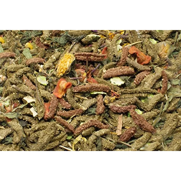 JR FARM Grainless Health Mix, getreidefreies Kleintierfutter für Chinchillas und Degus, 600 g mit hohem Rohfaseranteil und schmackhaften Gemüse- und Kräutermischungen – Bild 2