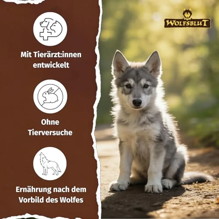 Wolfsblut Wide Plain Puppy 12,5kg, getreidefreies Trockenfutter mit Pferd und Süßkartoffeln für Welpen – Bild 4