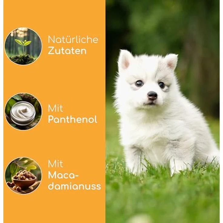 Wolfsbacher Welpen-Shampoo Sensitiv, pH-neutrales Hundeshampoo ohne Parfüm, sanfte Pflege bei Juckreiz & Schuppen, 100% pflanzlich für Langhaar & Kurzhaar, 100ml – Bild 3