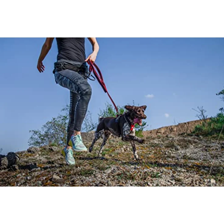 JULIUS-K9 JK9 Speed Hundegeschirr, Größe XL, Rot - Reflektierende Nähte, Griff am Hundegeschirr, vollständig anpassbar – Bild 9