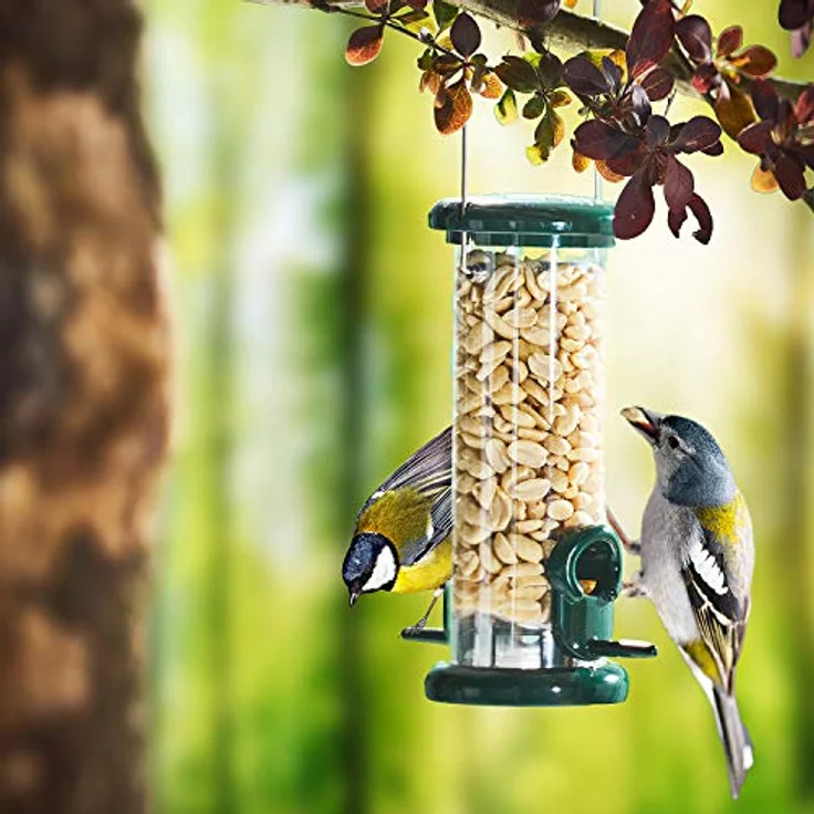 Paul´s Mühle Erdnüsse für Vögel, gehackte Erdnusskerne, Premiumqualität, 5 kg, Ernte 2025, ganzjährig geeignet – Bild 5