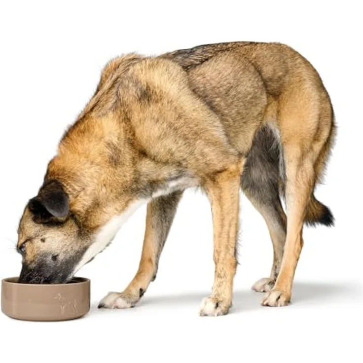 HUNTER Keramik-Napf Osby Glazed, beige, 1100 ml, rutschfest, kratzresistent, spülmaschinengeeignet – Bild 3