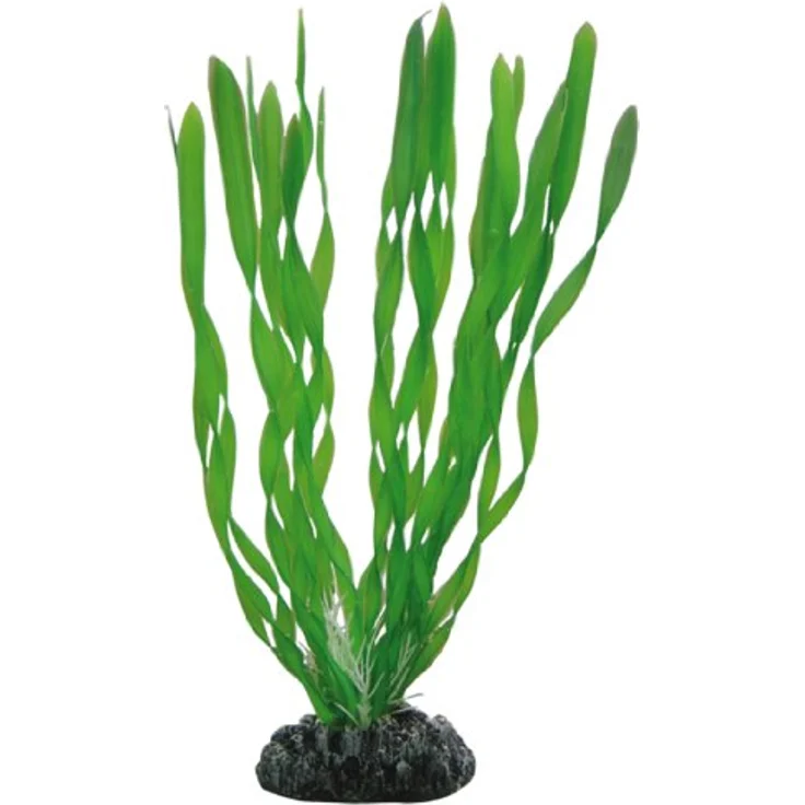 HOBBY Aquariendeko Vallisneria, 20 cm Kunststoffpflanze mit naturgetreuer Bewegung für Aquarien – Bild 1