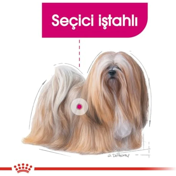 Royal Canin Exigent Mini, Hundefutter für wählerische Hunde bis 10 kg, 3 kg, knusprige Kroketten mit schmackhafter Füllung – Bild 7