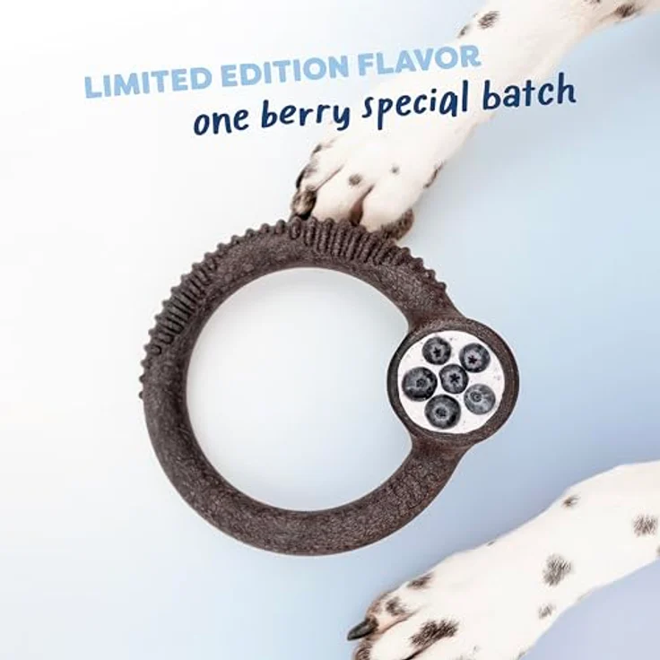 Benebone Blueberry Hundespielzeug, mittelgroß, 4er-Pack für aggressive Kauer, mit echtem Heidelbeergeschmack, hergestellt in den USA – Bild 5