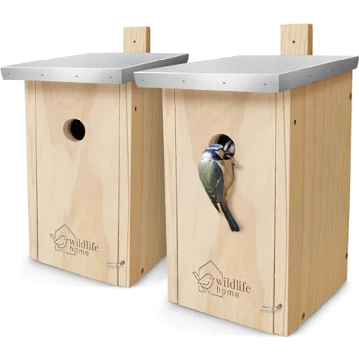 WILDLIFE HOME Nistkasten Meisen 2er Set, wetterfestes Massiv-Holz mit Metalldach für Blaumeisen, inklusive einfach zu reinigender Aufkapp-Front, nach NABU – Bild 1