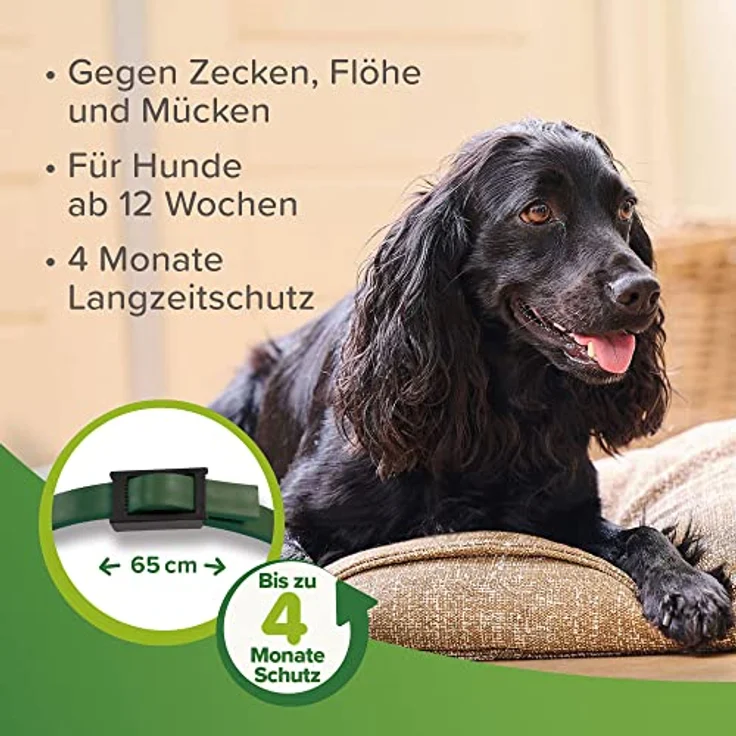 BEAPHAR Zecken- und Flohschutz Halsband für Hunde ab 12 Wochen, Repellent, 4 Monate Schutz, verstellbar, regenfest, Bandlänge 65 cm, dunkelgrün – Bild 5