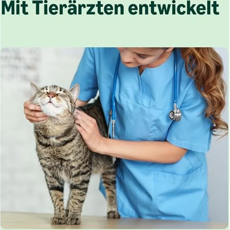 by Amazon Getreidefreies Trockenfutter für Katzen, mit 30% frischem Huhn, 3 kg, Gelenkunterstützung mit Glucosamin und Chondroitin – Bild 3