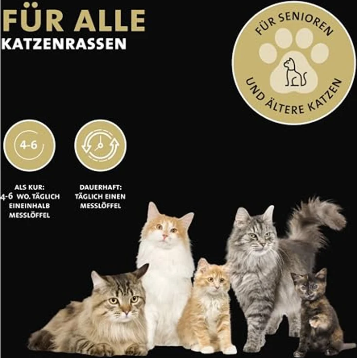 Peticare Senior Aktiv Vital Mix Pulver für alte Katzen, natürliches Ergänzungsfutter mit Grünlippmuschel, MSM und Curcuma, fördert Immunsystem & bei Mangelerscheinungen, 360g – Bild 3