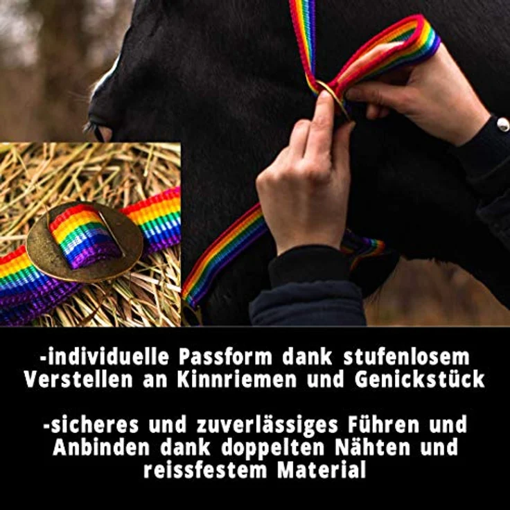 Pferdelinis Halfter für Pferd, 2-fach verstellbar, reißfest & ergonomisch - Bunt (Pony) – Bild 3
