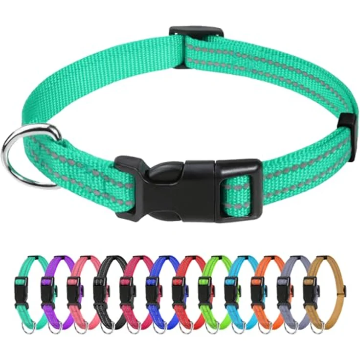 TagME Nylon Hundehalsband, Verstellbares Reflektierendes Halsband mit Sicherheitsverschluss für Welpen, Türkis, 1.0 cm Breite – Bild 1