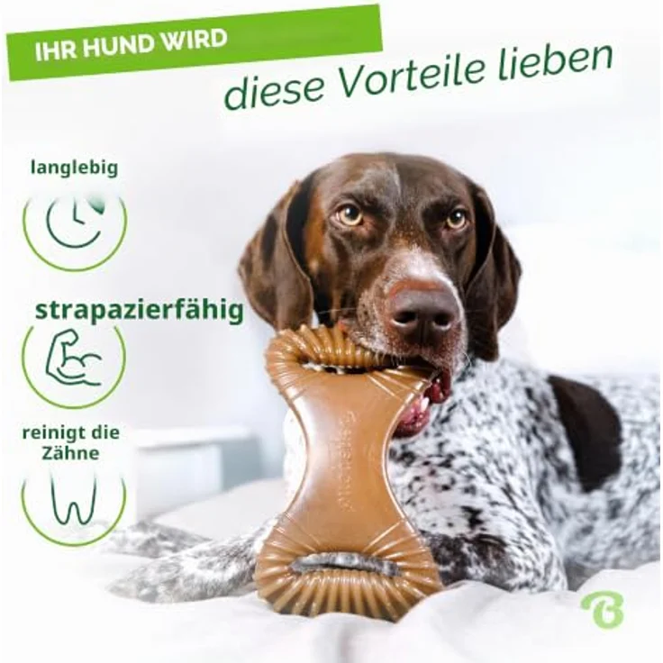 Benebone Dental Großer Hundeknochen mit Hühnergeschmack, langlebiges Kauspielzeug mit Zahnstimulation, aus 100% echtem Huhn, USA hergestellt – Bild 3