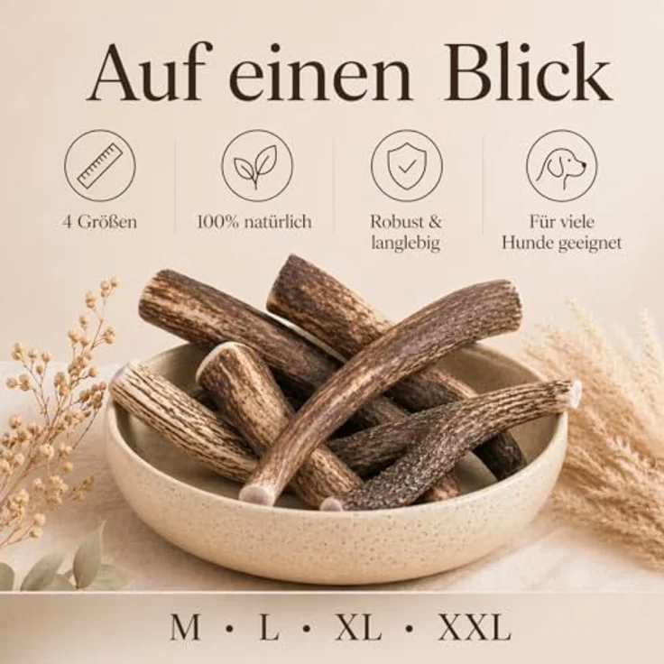 mascota vital - Hirschgeweih - 100% Hirschgeweih - Ideal für die Zahnpflege - 100% Natürlich - Geweih - Kauknochen - Hundespielzeug - Geweih vom Rothirsch (XXL (160-250g), ganz) – Bild 6