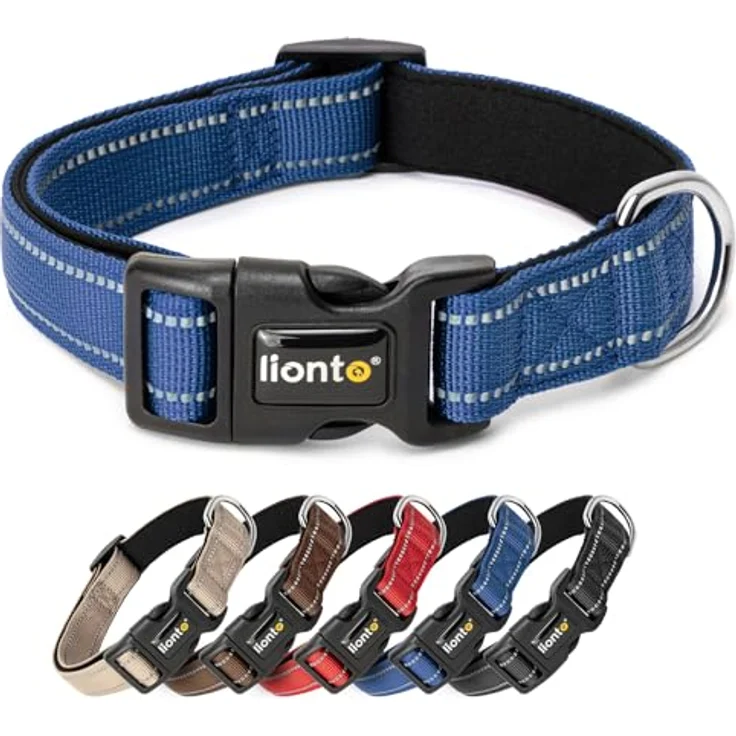 lionto Hundehalsband aus strapazierfähigem Nylon, Größe XS, gepolstert, 360° reflektierend, Klickverschluss, blauer Metallring, verstellbar durch stufenlosen Schieber – Bild 1