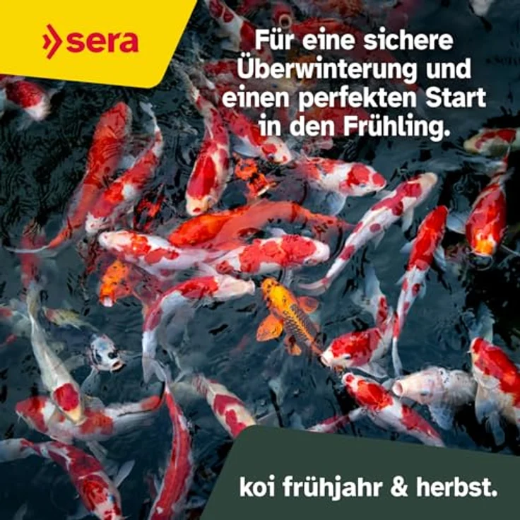 sera Koi Professional Spring & Fall 21 L (7 kg) | Hochwertiges Koi Futter für Temperaturen unter 17 °C | Leicht verdauliche Rezeptur für gesundes Wachstum – Bild 5