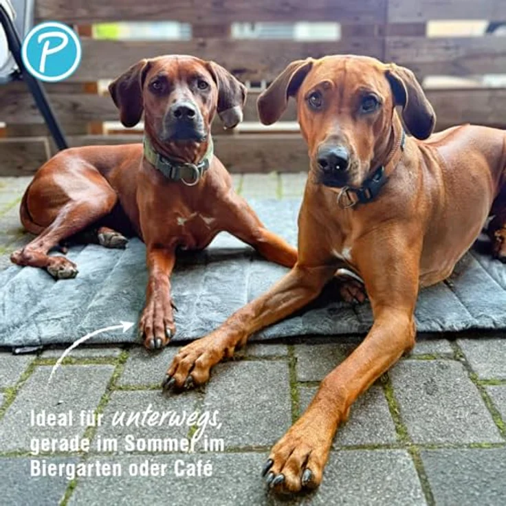 Petlando Travelmat Columbia, Hundedecke in anthrazit, M - 110 x 70 cm, pflegeleicht mit Tragegriff – Bild 5