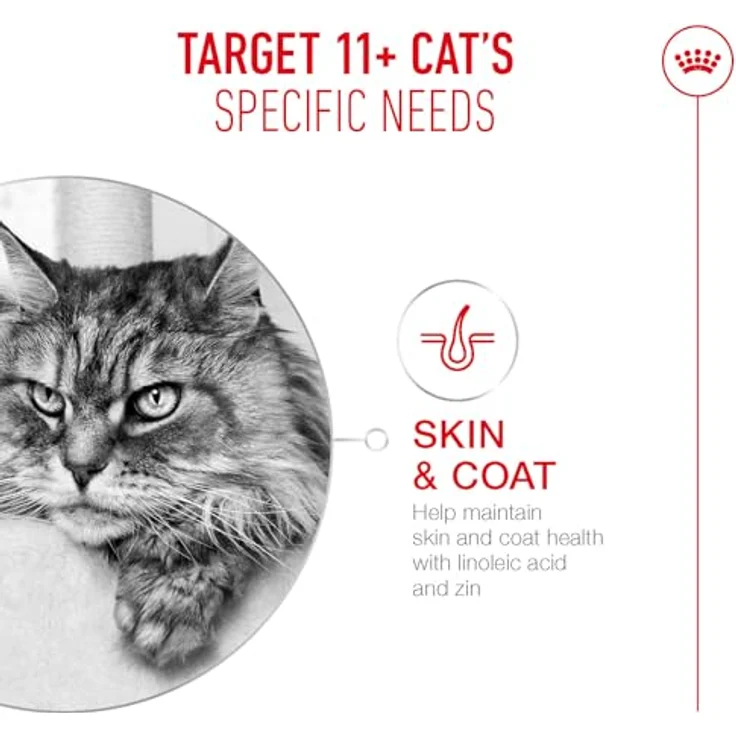 ROYAL CANIN AGEING 11+ Jelly, Nassfutter für Senior Katzen ab 11 Jahren, 12 x 85 g, mit HealthyAge7™ Complex, unterstützt Gelenk-, Haut- und Nierenfunktion – Bild 4