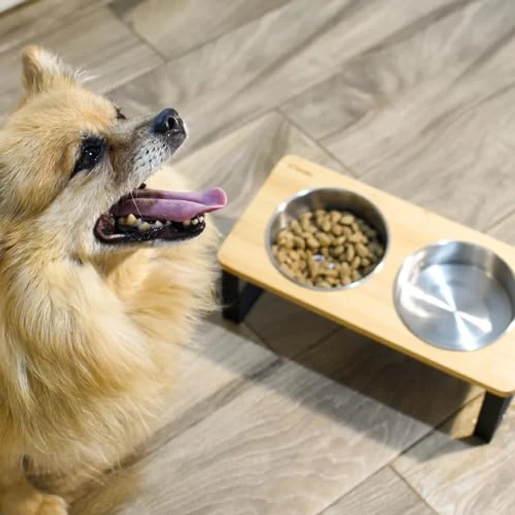 Sendez Erhöhter Doppelnapf für Katzen & Hunde, 2x 250 ml Edelstahlnäpfe mit Bambus-Ständer, rutschfest & spülmaschinengeeignet – Bild 3