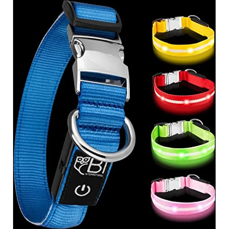 BI International Leuchthalsband für Hunde [Das Original], LED Hundehalsband mit 3 Leuchtmodi und langlebigem Metallverschluss, schnelles Aufladen über USB