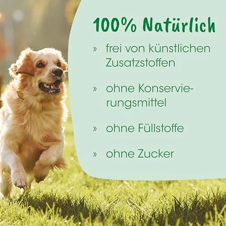 cdVet Magenschutz, Hundefutter zur Unterstützung der Magen-Darm-Regeneration, 400 g – Bild 6