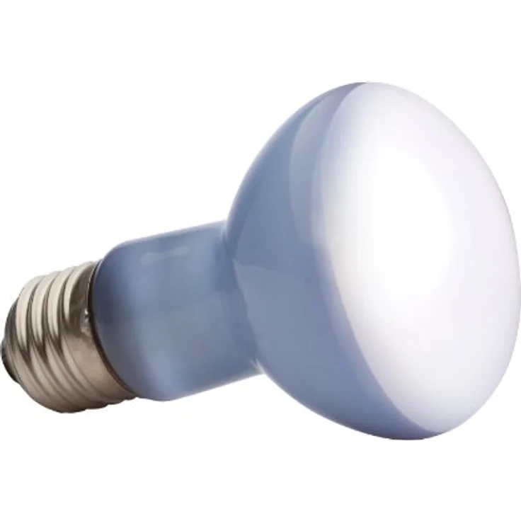 Exo Terra Daylight Basking Spot, Breitspektrum Tageslichtlampe R20, 50W E27, natürlicheres Aussehen für Terrarien – Bild 2