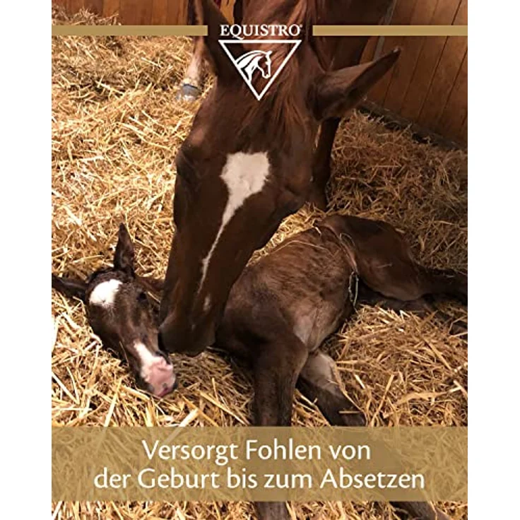 EQUISTRO® Ipaligo Foal, Ergänzungsfuttermittel für Fohlen mit essentiellen Vitaminen, Mineralstoffen & Aminosäuren, 3x14g – Bild 3