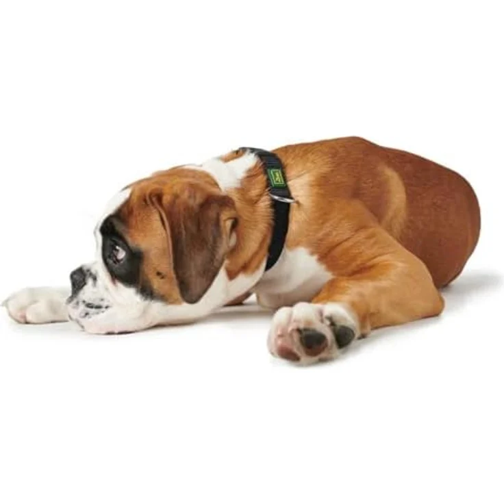 Hunter Hunde-Halsung Vario Basic schwarz M 2 – Bild 4