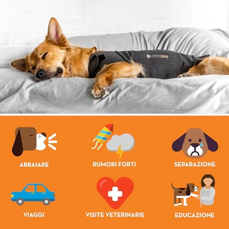 Adaptil Hunde-Halsband ThunderShirt ® - Beruhigungsweste für gestresste Hunde, effektiv in über 80% aller Fälle – Bild 3