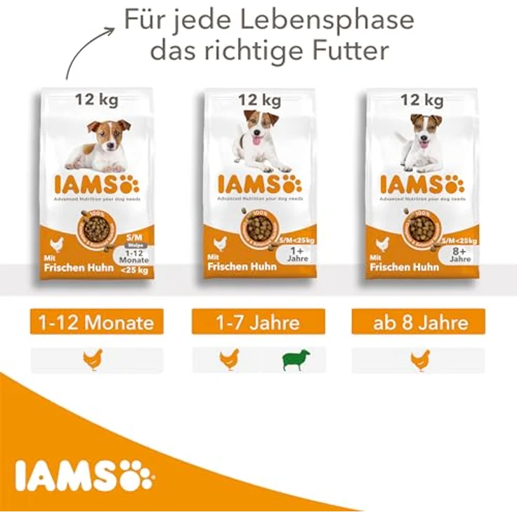 IAMS Senior Hundefutter trocken mit Huhn, Trockenfutter für ältere Hunde ab 8 Jahren, 5 kg, für kleine und mittelgroße Rassen, weizenfrei, reich an tierischem Protein – Bild 5