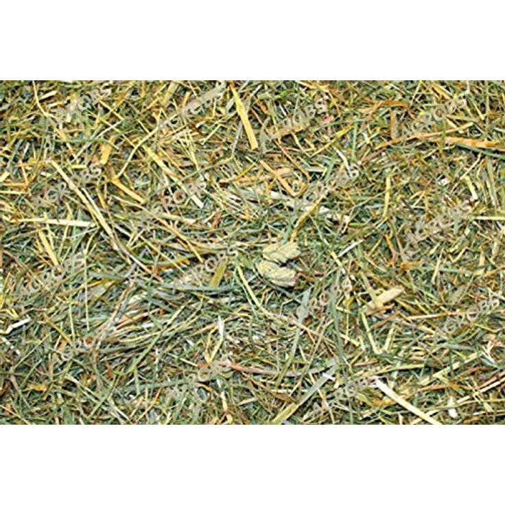 Agrobs Alpenheu, 12.5 kg, 100% Heubasisfüllung zur täglichen Futteraufwertung mit wichtigen Nährstoffen – Bild 2