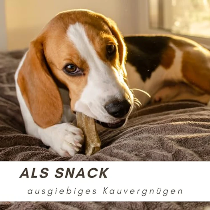 Supravit Rinderohren für Hunde, 1kg, 100% natürliche Kauartikel zur Zahnreinigung und Kaumuskulaturstärkung, für mittelgroße und große Hunde – Bild 3