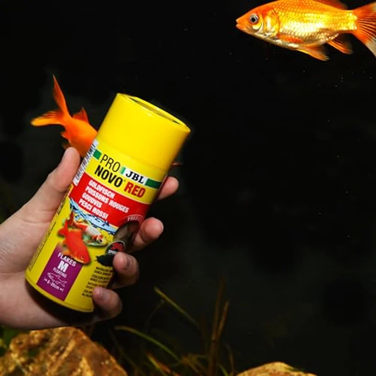 JBL PRONOVO RED FLAKES M, Prebiotisches Goldfischfutter mit Astaxanthin für optimale Farbausbildung, 250 ml – Bild 3