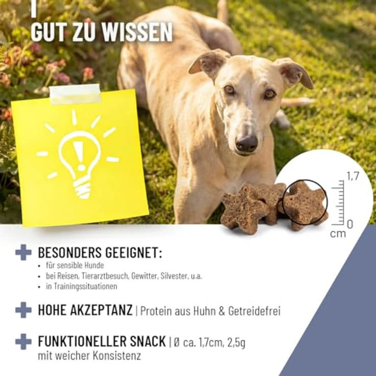 REAVET Relax Komplex Drops, Ergänzungsfuttermittel für Hunde zur Unterstützung von innerer Ruhe mit L-Tryptophan und Magnesium, 350g (140 Stk) – Bild 6