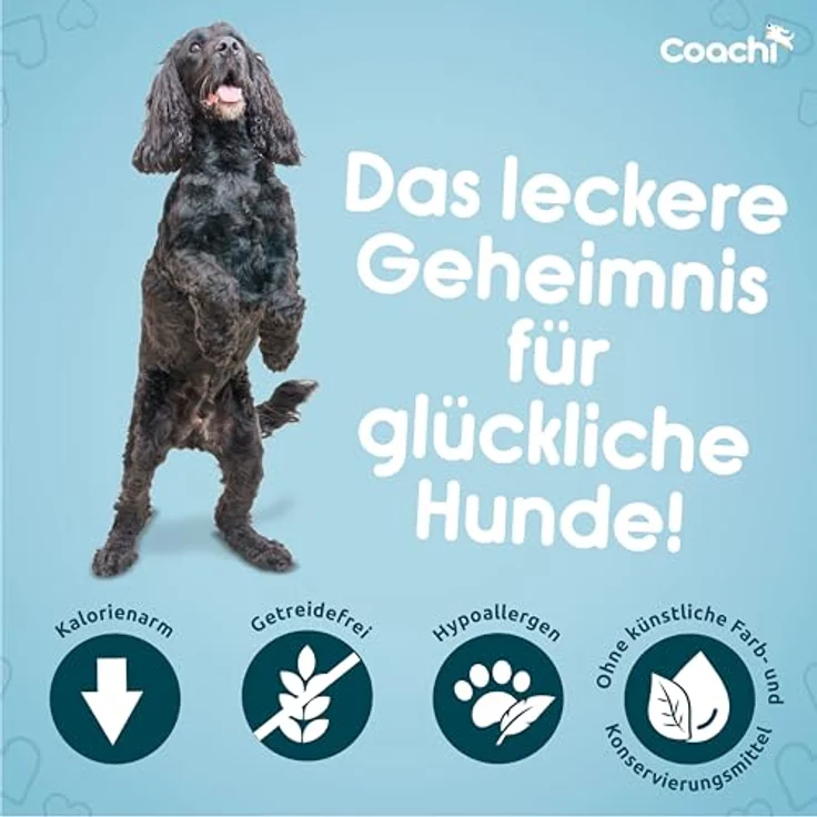 Coachi Natürliche Entspannende Hundeleckerlis, Getreidefrei und Hypoallergen mit Beruhigenden Zutaten (Truthahn, 100g) – Bild 3